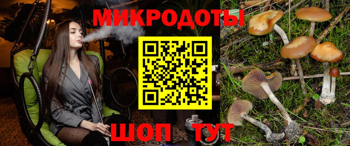 Качканар  закладки  Вход с VPN  Галлюциногенные грибы Magic Shrooms 